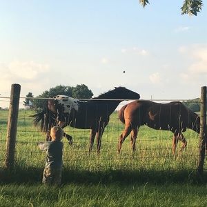 Meet your Posher, Sirena